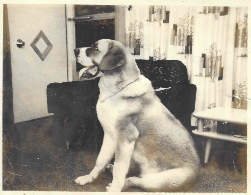 Abstract light ribbons in soft gradients